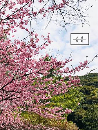 相片 2019-3-9 13 52 38.jpg 相片 2019-3-9 13 52 38.jpg