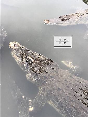 相片 2019-3-9 15 32 57.jpg 相片 2019-3-9 15 32 57.jpg