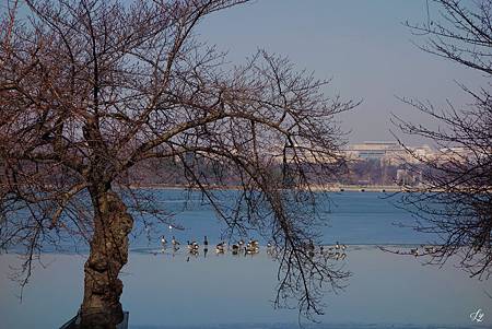 DSC05182_.jpg DSC05182_.jpg