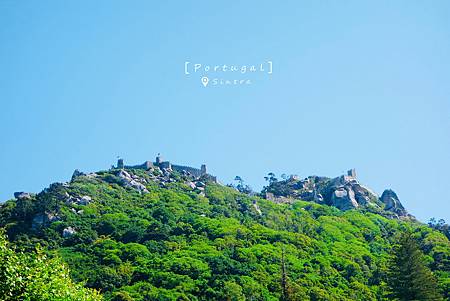 DSC09327_.jpg DSC09327_.jpg