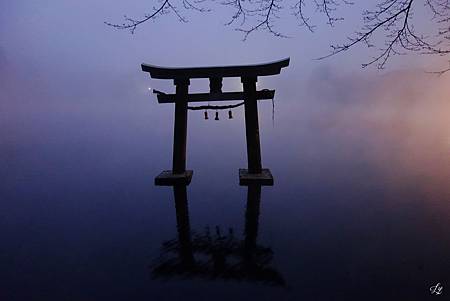 DSC06254_.jpg DSC06254_.jpg