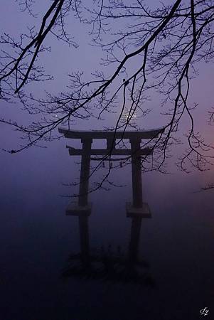 DSC06262_.jpg DSC06262_.jpg