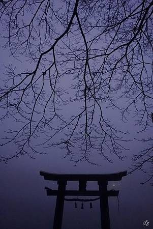 DSC06277_.jpg DSC06277_.jpg