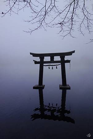 DSC06295_.jpg DSC06295_.jpg
