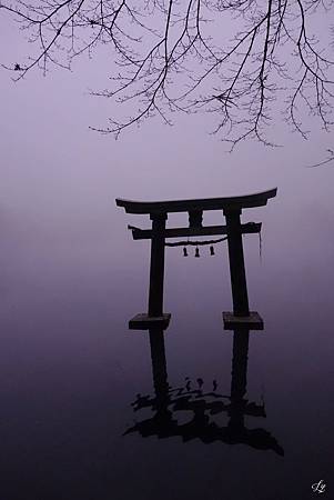 DSC06291_.jpg DSC06291_.jpg