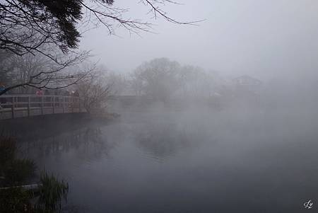 DSC06339_.jpg DSC06339_.jpg