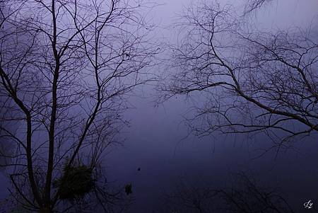 DSC06316_.jpg DSC06316_.jpg