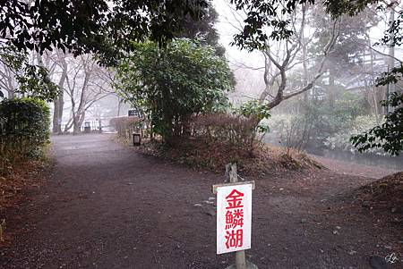 DSC06366_.jpg DSC06366_.jpg