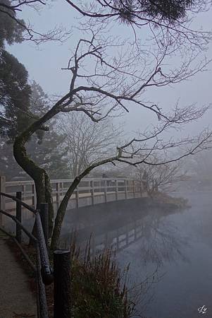 DSC06348_.jpg DSC06348_.jpg