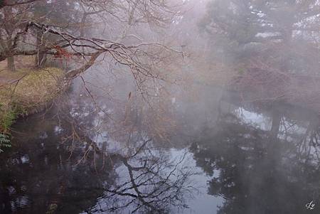 DSC06354_.jpg DSC06354_.jpg