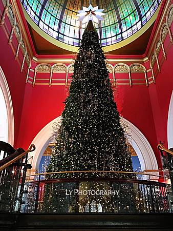 IMG_6090_.JPG IMG_6090_.JPG