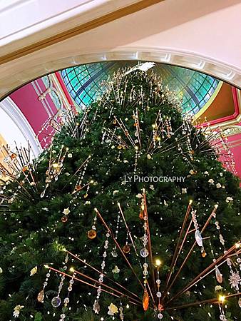 IMG_6093_.JPG IMG_6093_.JPG