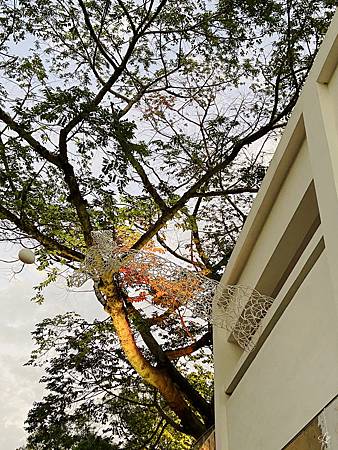 相片 2019-12-25 17 21 57_.jpg 相片 2019-12-25 17 21 57_.jpg