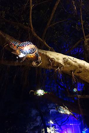 DSC08172_.jpg DSC08172_.jpg