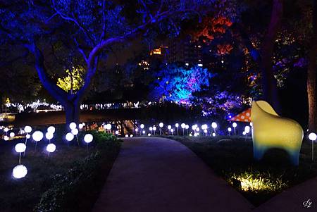 DSC08180_.jpg DSC08180_.jpg