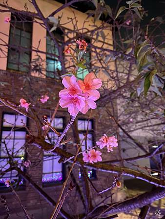 相片 2020-1-10 18 44 14_.jpg 相片 2020-1-10 18 44 14_.jpg