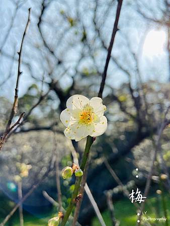 相片 2020-1-8 22 58 05.jpg