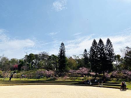 2021 Kawazu Sakura (51).jpg