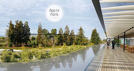 Apple Park (17).jpg