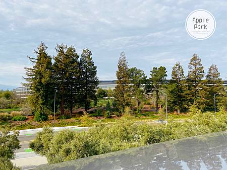 Apple Park (15).jpg