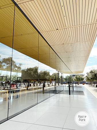Apple Park (21).jpg