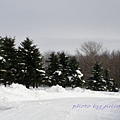 4北海道雪上活動