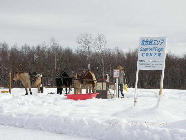 6北海道雪上活動