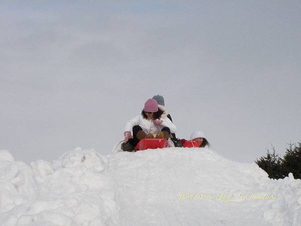 9北海道雪上活動