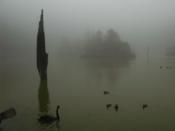 明池湖畔