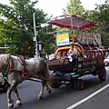 大通公園旁路上出現馬車