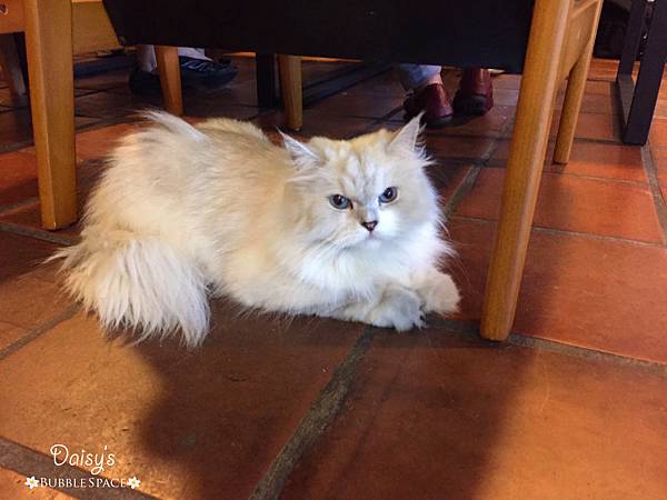 S__44204070.jpg S__44204070.jpg