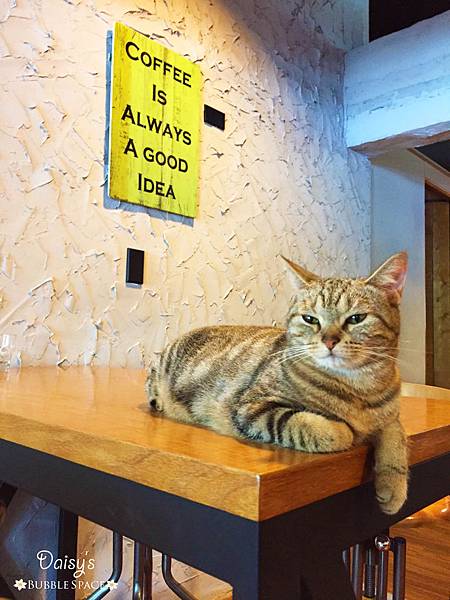 S__44204078.jpg S__44204078.jpg