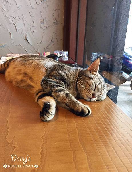 未命名-2.jpg 未命名-2.jpg