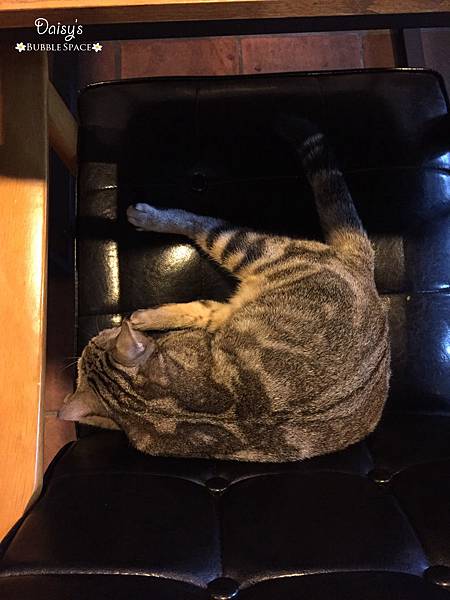 S__44204066.jpg S__44204066.jpg