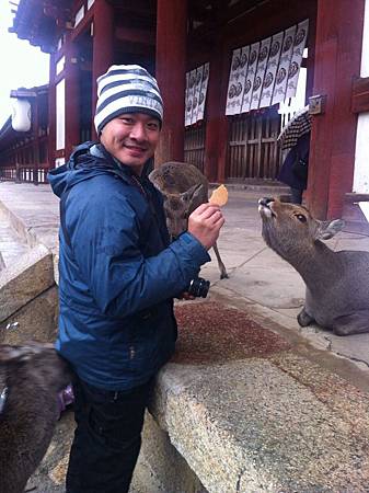 奈良鹿公園