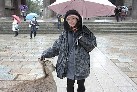 奈良鹿公園