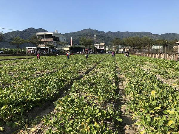 高雄各地采風與花賞（十二）