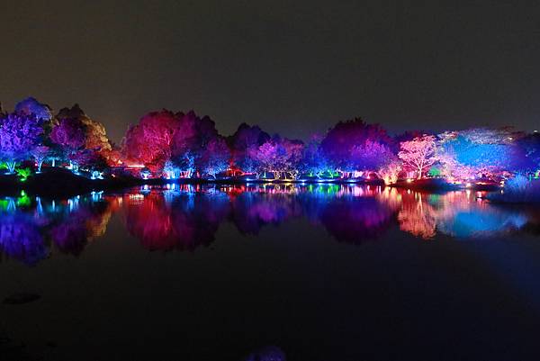 高雄各地采風與花賞（十三）