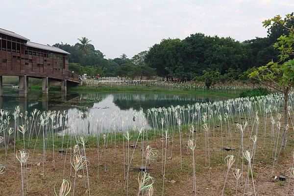 高雄各地采風與花賞（十三）