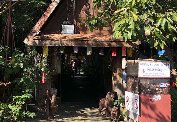 隱於清邁古城中的恬淡靜謐小寺 - วัดเจ็ดลิน 杰林