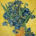 50053--Irises by Vincent van Gogh (1853–1890) at 1890.jpg