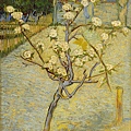 50107-Small pear tree in blossom by Vincent van Gogh (1853–1890) at 1888.jpg