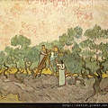 60019-Women picking olives by Vincent van Gogh (1853–1890) at 1889.jpg