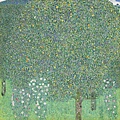 70023- Rosiers sous les arbres by Gustav Klimt (1862–1918) at 1905.jpg