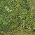 71013-Garden with butterflies  by Vincent van Gogh (1853–1890) at 1889.jpg