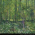71049-Trees and undergrowth by Vincent van Gogh (1853–1890) at 1887.jpg