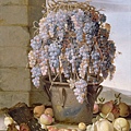 11009--Still Life with Grapes and other Fruit by Luca Forte(1610 - 1670) at 1630.jpg