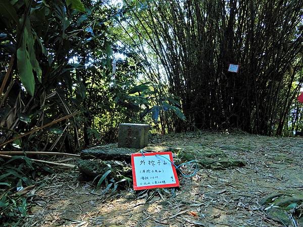 DSCN7428 (2).JPG DSCN7428 (2).JPG