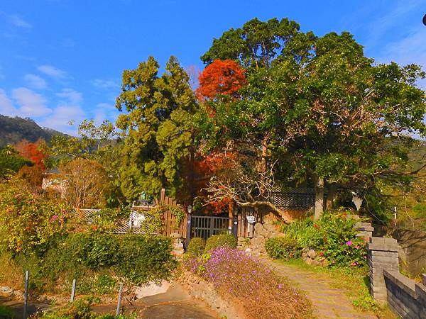 DSCN1001.JPG DSCN1001.JPG