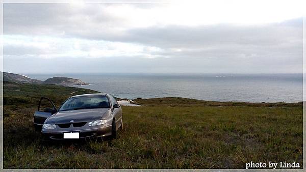 car in bush